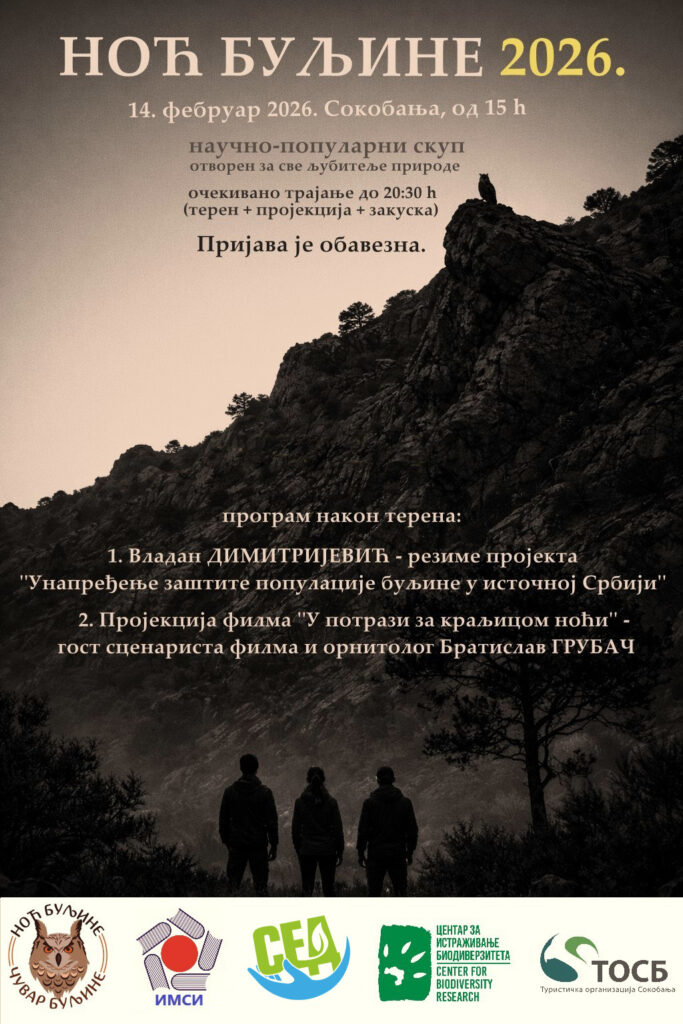 noc buljine 2026 sajt najava 1