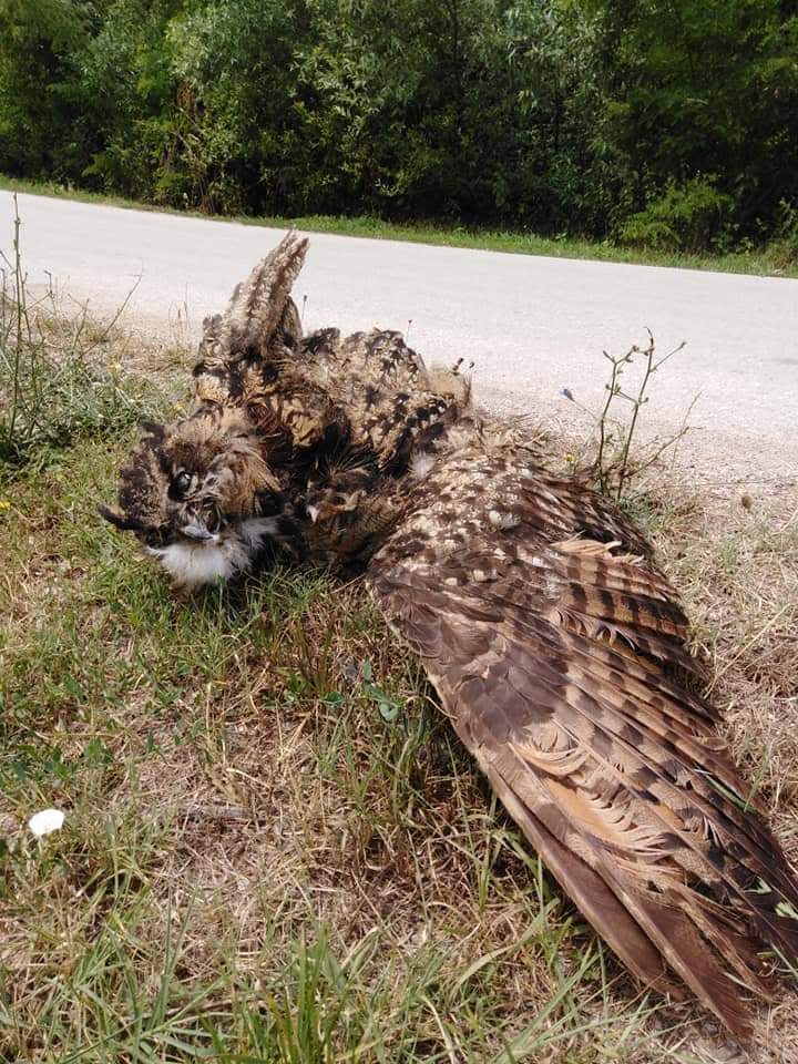 fb img 1563048882329