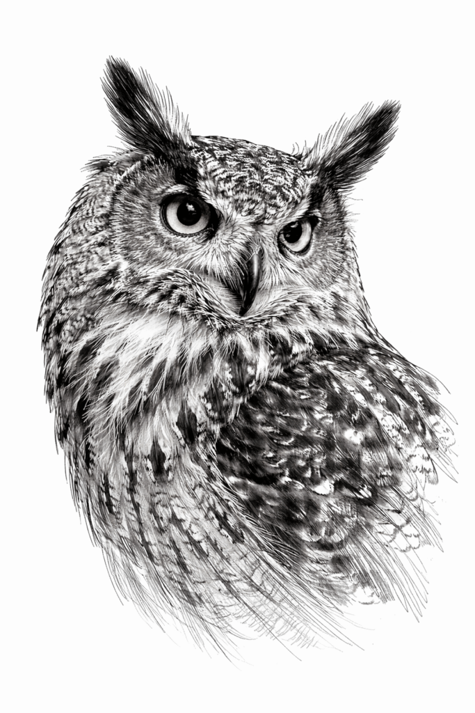 noć buljine zatvorene prijave